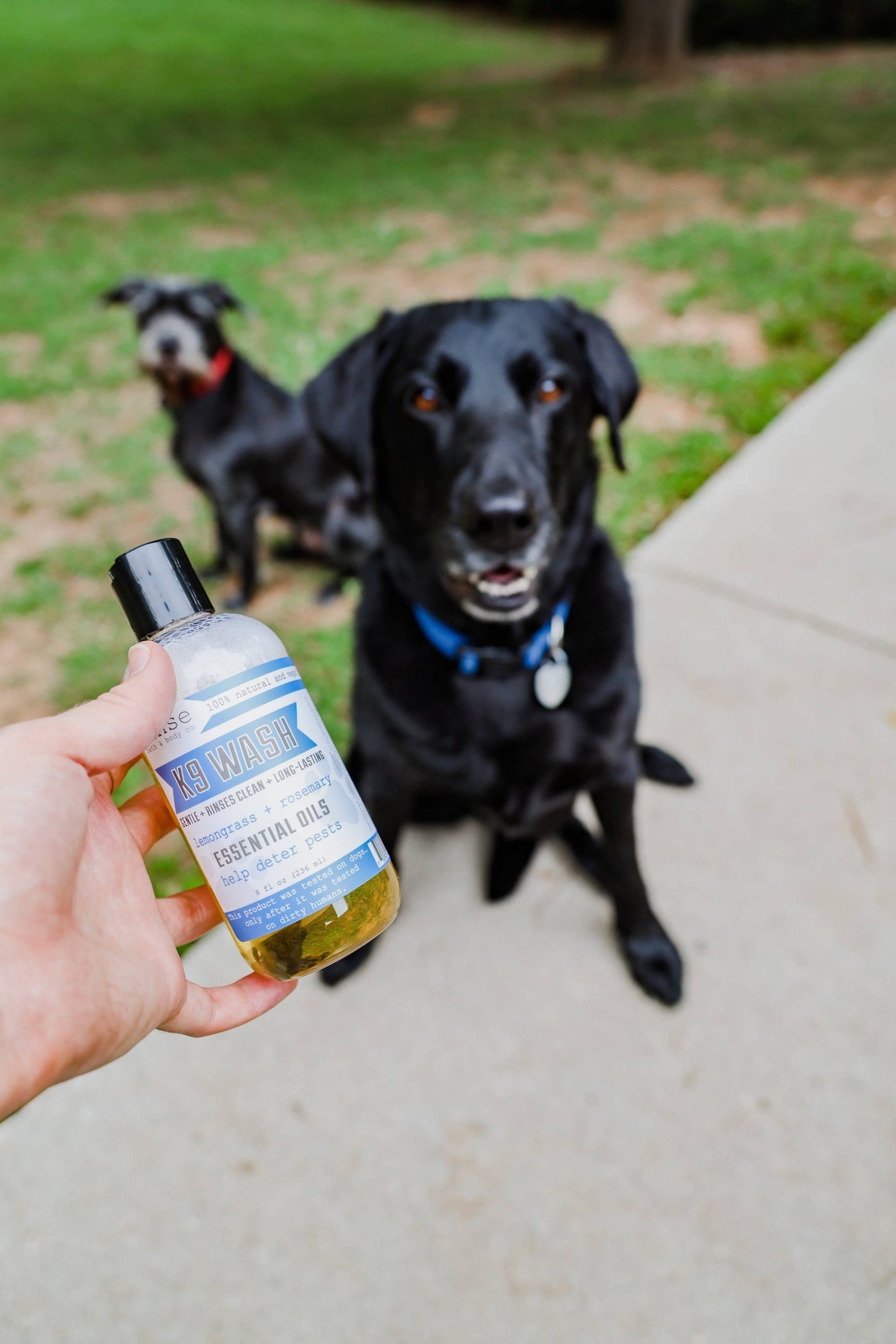 K9 Wash 8oz | Dog Wash