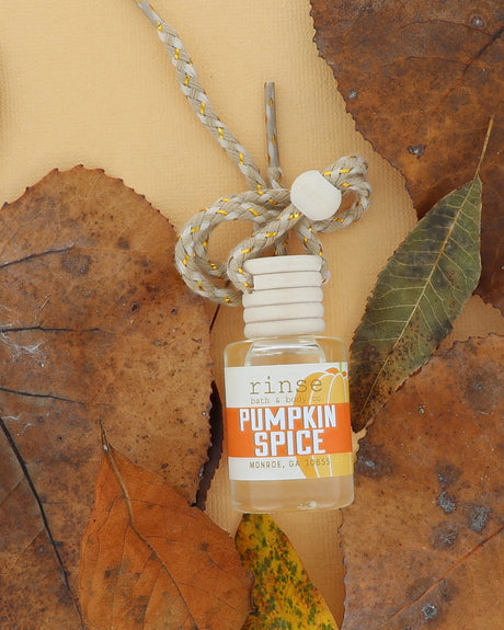 Pumpkin Spice Car Diffuser | Long-Lasting Fall Scent | Fall Favorite | Rinse