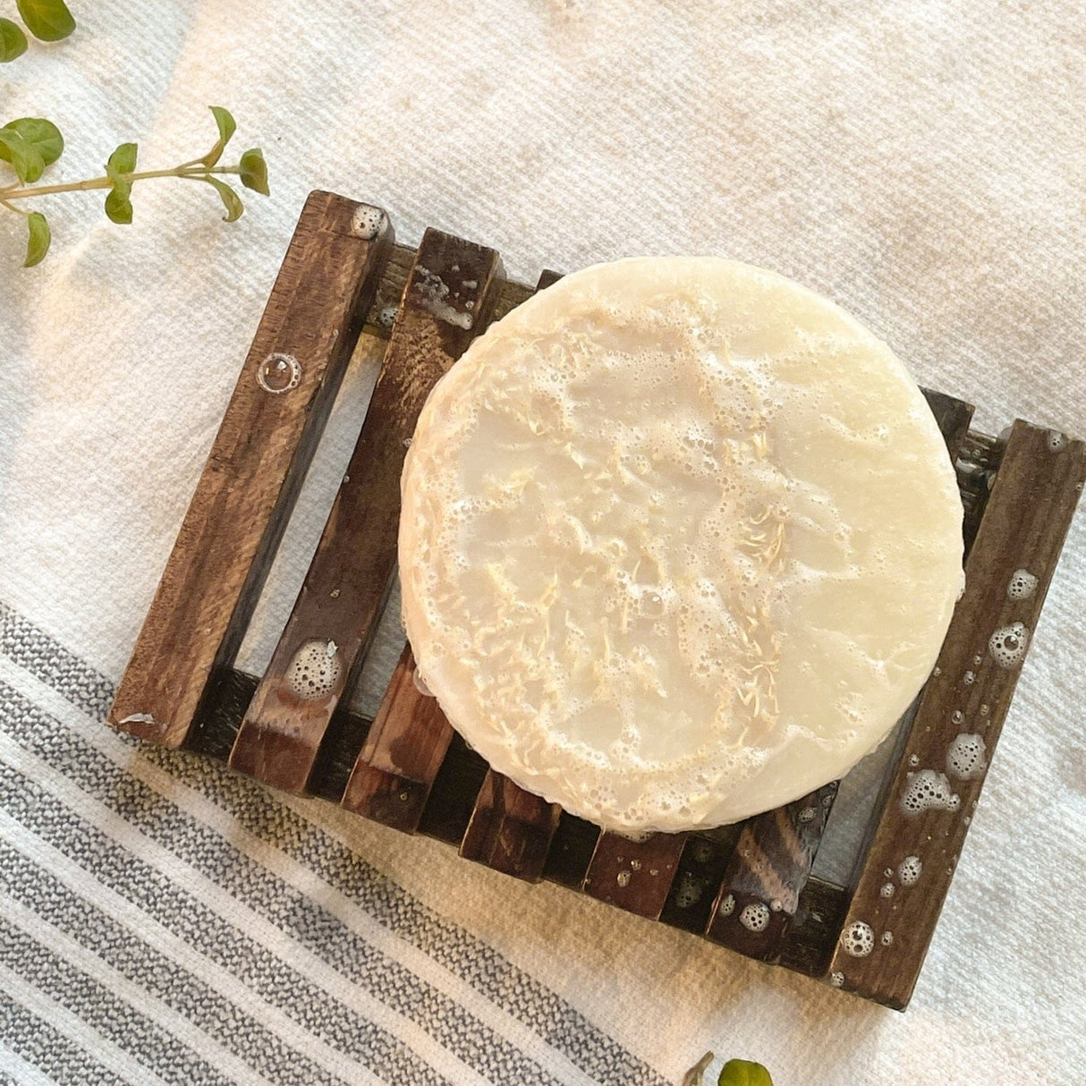 Euca Mint Loofah handmade natural bar soap from Rinse - paraben-free since 2003 - lifestyle shot