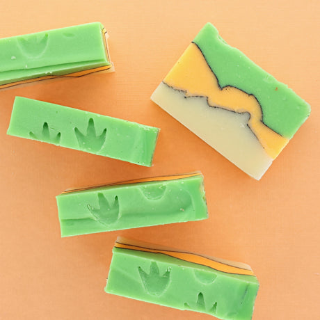 Dino-Mite | Rinse Bath & Body