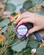 A hand reaching in to place a purple foil-wrapped Lavender Tub Truffle among fresh lavender and eucalyptus on a wooden bath tray, cloth-bound books beside it. Rinse Bath & Body Co.
