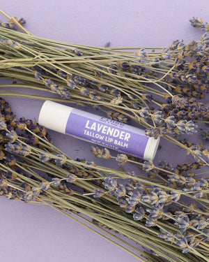 Lavender Tallow Lip Balm tube with purple label resting among dried lavender bundles on a lilac backdrop
