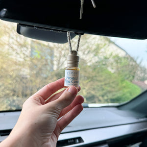 Natural natural car air freshener | Frosted Pine Cone | Rinse Bath & Body Co. - detail view