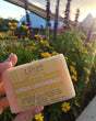 Hand holding Ginger Lemongrass soap among purple garden blooms — warm golden-hour light