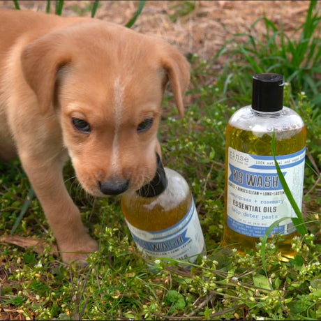 16oz natural pet grooming product from Rinse - pet-safe ingredients - detail view