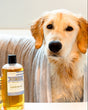 K9 Wash 16oz bottle by Rinse Bath & Body