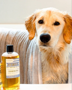 K9 Wash 16oz bottle by Rinse Bath & Body