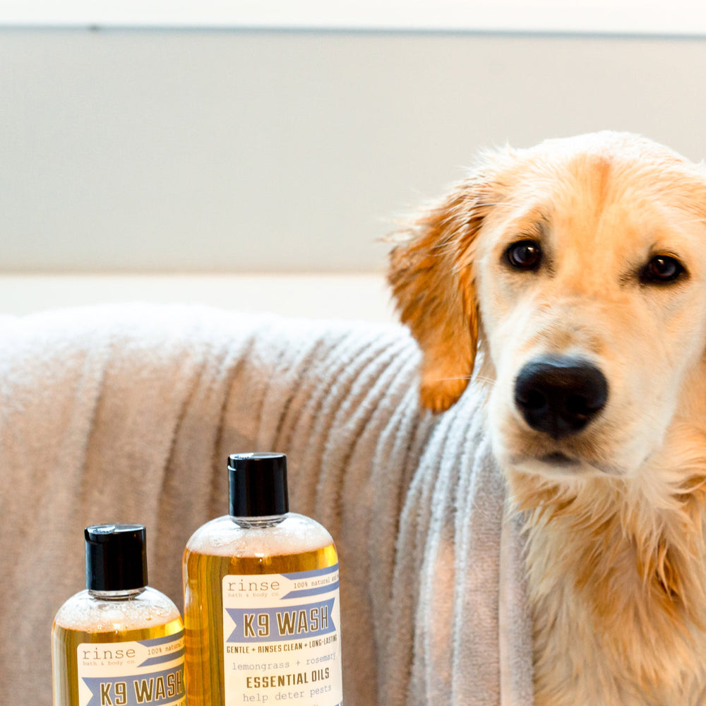 Natural Dog Shampoo (K9 Wash) — lifestyle
