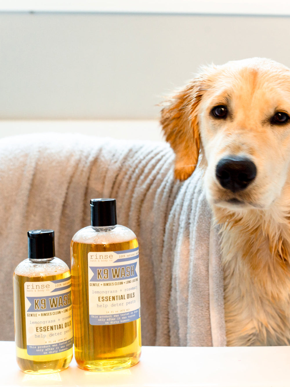 Golden Retriever draped in a grey towel beside amber K9 Wash bottles — bright white bathtub spa light