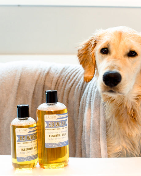 Natural Dog Shampoo (K9 Wash) — lifestyle