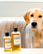 Natural Dog Shampoo (K9 Wash) — lifestyle
