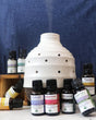 Thievery pure essential oil blend in its amber dropper bottle — certified organic clove, cinnamon, lemon, rosemary and eucalyptus. Rinse Bath & Body Co.