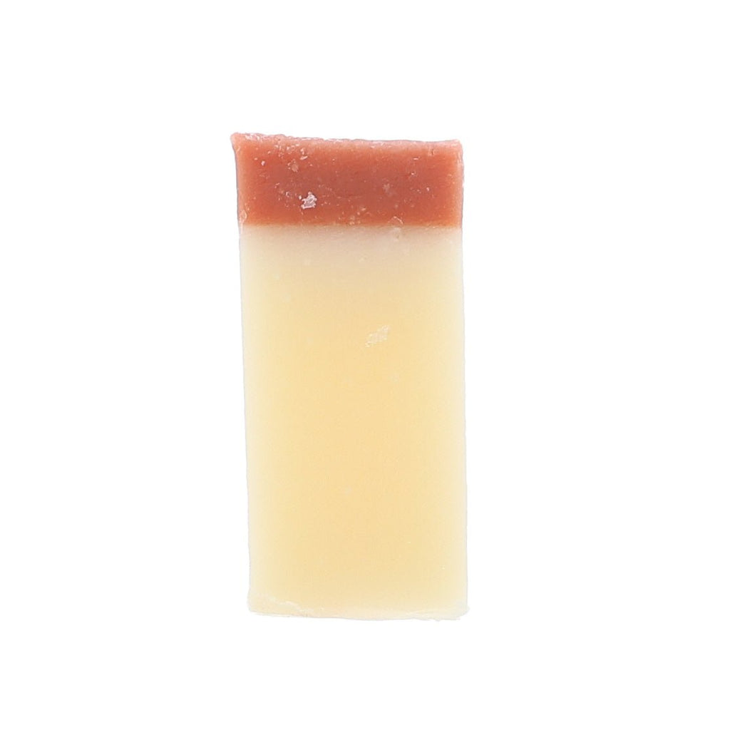 Warm Apple Cider Soap Slice - Rinse Bath & Body